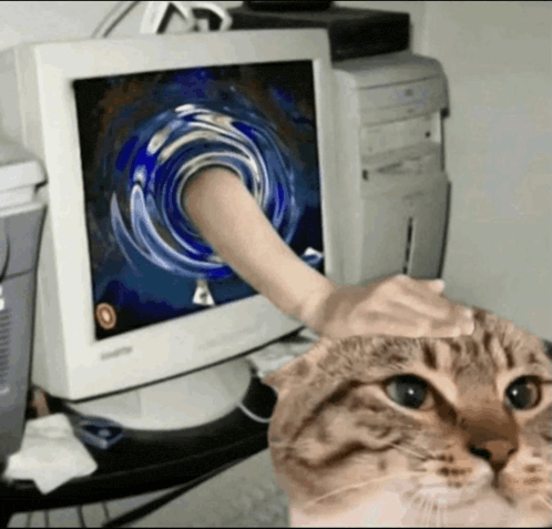 a cat petting a computer monitor with a hand sticking out of it